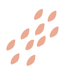 Obuke i kursevi - Obrazovanje za 21. vek